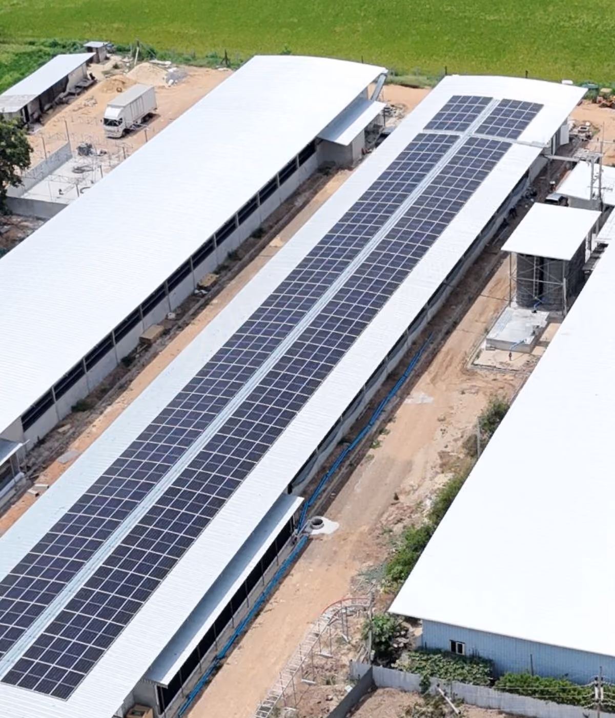 ภาพการติดตั้งโซลาร์เซลล์ฟาร์มไก่ 300 kWp Solar Rooftop จังหวัดสิงห์บุรี